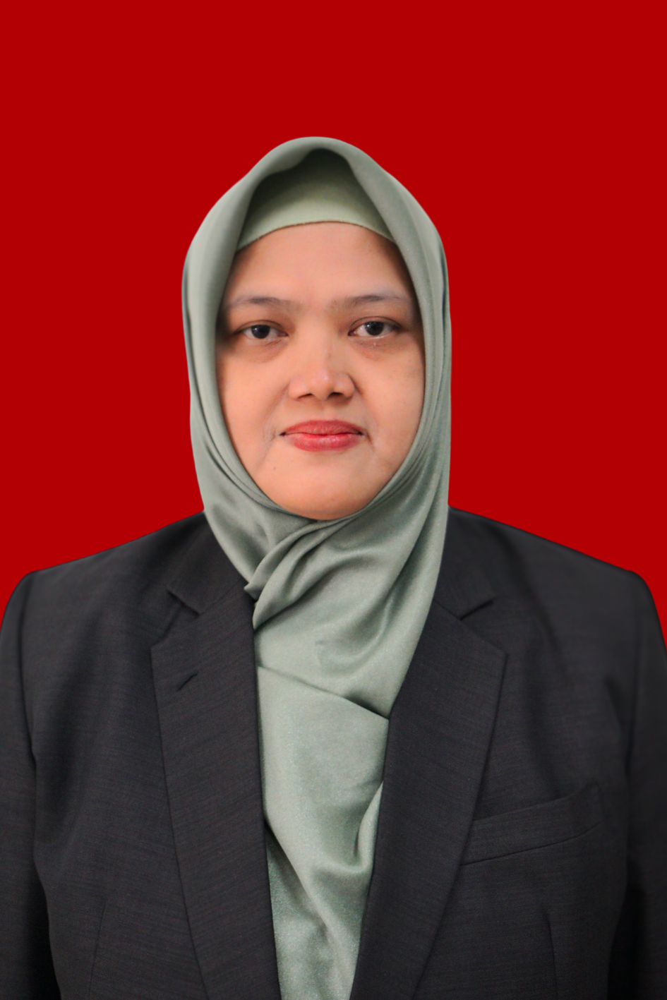 Dr. Nur Azizah,S.Kom.,M.Akt.,M.Kom.